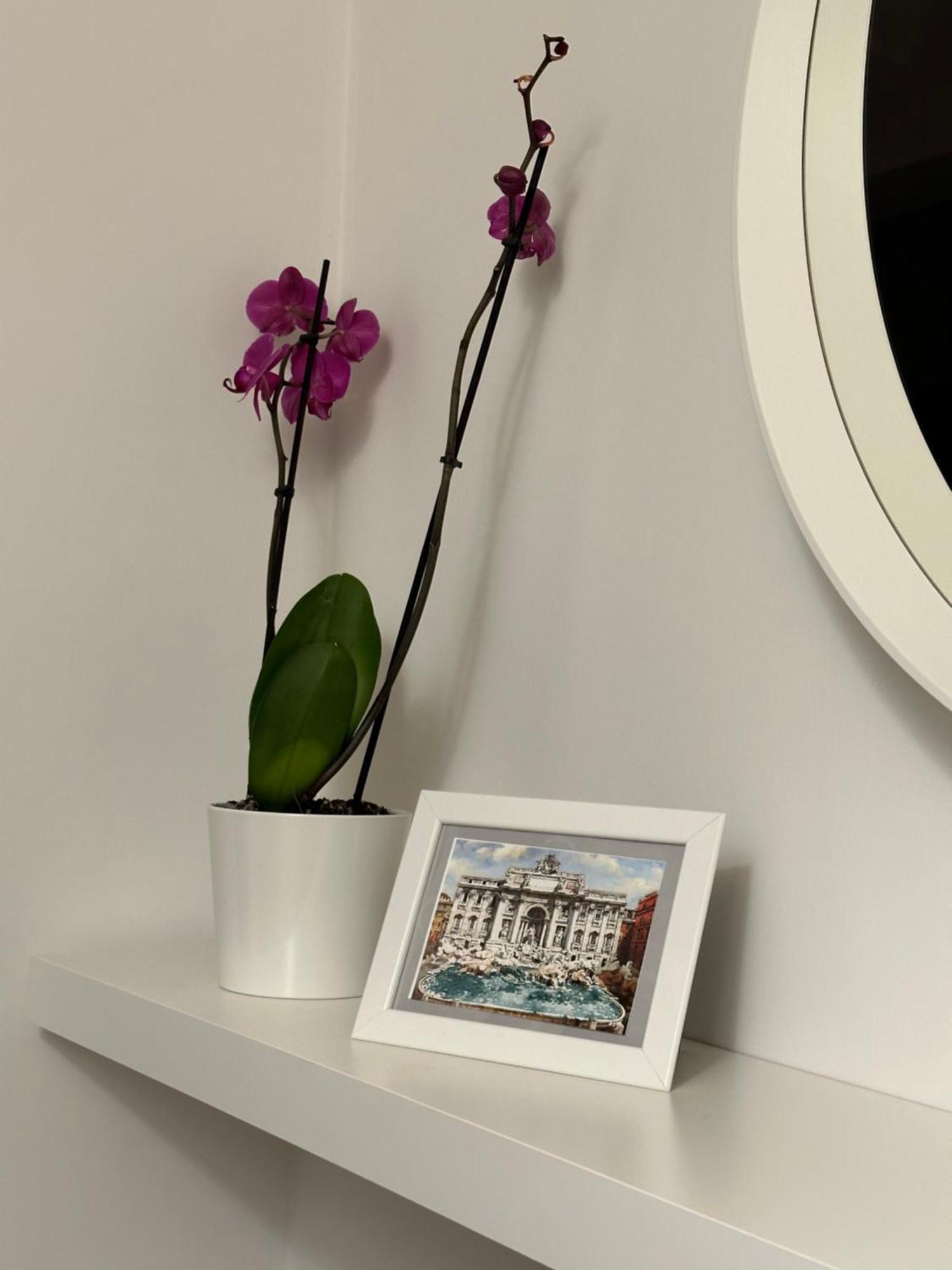 Trithome Suite Boutique Barberini Roma Esterno foto
